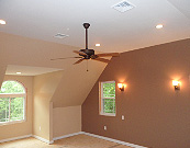 ceiling fan and lighting